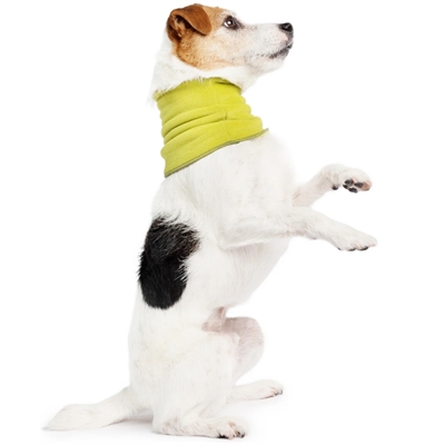 Goldpaw Snood Halsduk För Hunden Avocado Grön